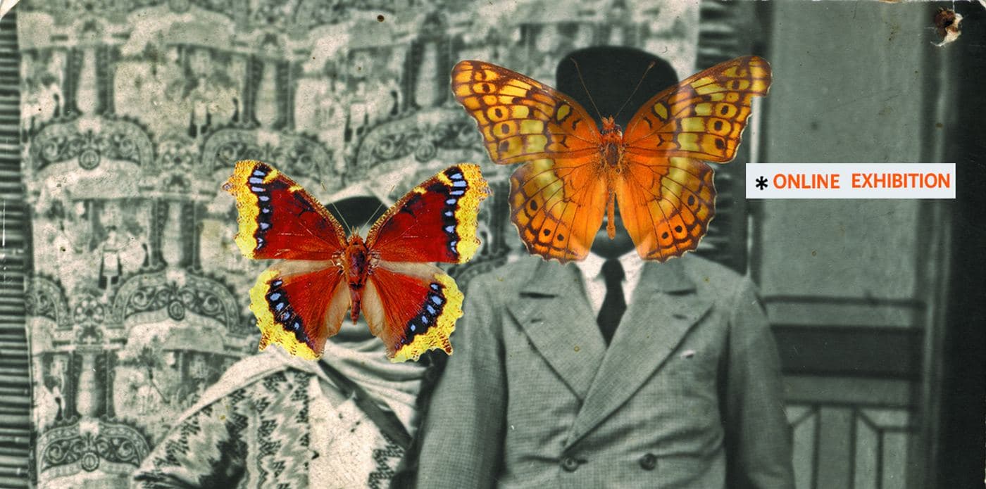 Reincarnation