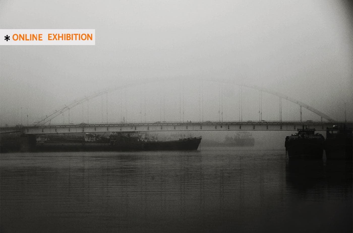 Views in the Fog, Saeedeh Afroukhteh